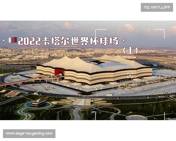世界杯宝贝的魅力揭秘 球迷宝贝如何为赛事增添精彩风采 世界杯宝贝的魅力揭秘 球迷宝贝如何为赛事增添精彩风采